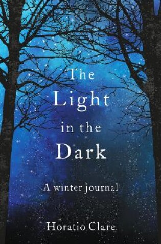 Cover of The Light in the Dark