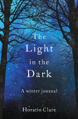 Book cover for The Light in the Dark