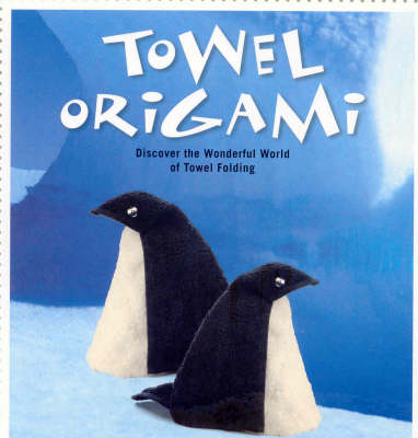 Book cover for Towel Folding 101