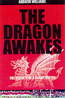 Book cover for The Dragon Awakes