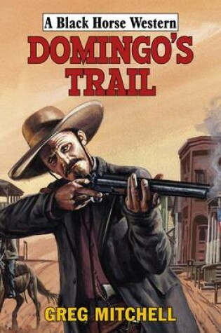 Cover of Domingo's Trail