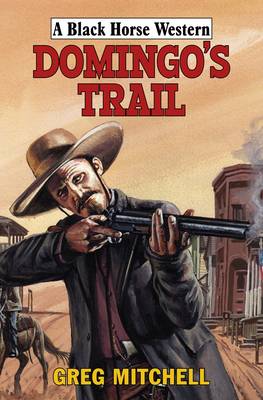 Book cover for Domingo's Trail