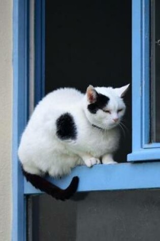 Cover of Delightful Black and White Cat in the Window Pet Journal