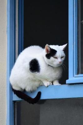 Book cover for Delightful Black and White Cat in the Window Pet Journal