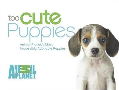 Book cover for Too Cute Puppies