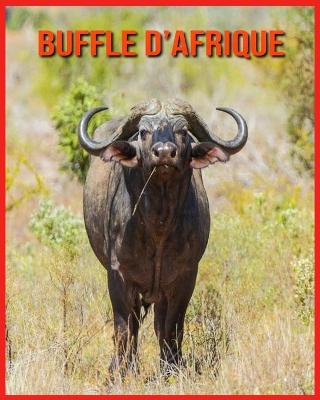 Book cover for Buffle d'Afrique