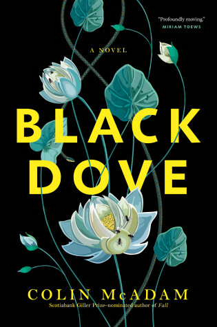 Cover of Black Dove