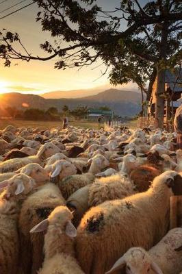 Book cover for Bringing Sheep to the Pen at Sunset Journal