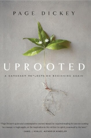 Uprooted: A Gardener Reflects on Beginning Again