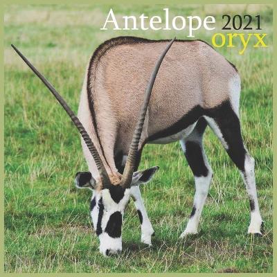 Book cover for 2021 Antelope