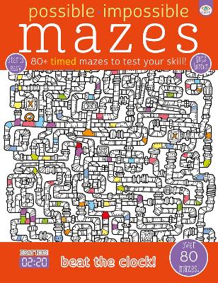 Cover of Possible Impossible Mazes