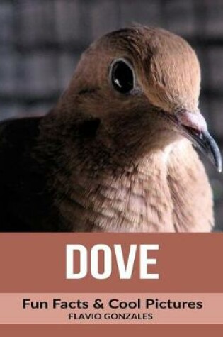 Cover of Dove