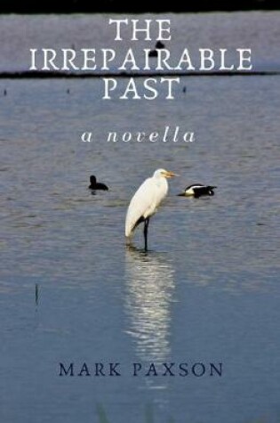 Cover of The Irrepairable Past