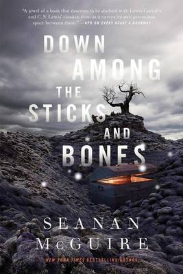 Book cover for Down Among the Sticks and Bones