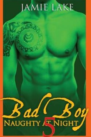 Cover of Bad Boy