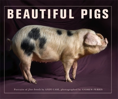 Book cover for Beautiful Pigs