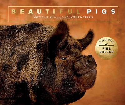 Book cover for Beautiful Pigs