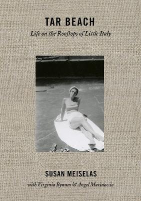 Book cover for Susan Meiselas: Tar Beach