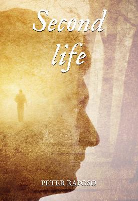 Book cover for Second life