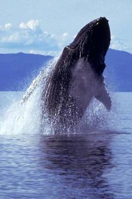 Book cover for Humpback Whale Breaching Journal