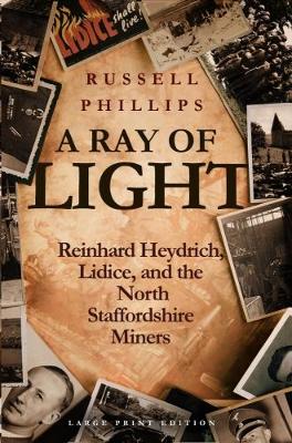 Book cover for A Ray of Light (Large Print)