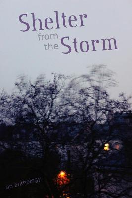 Book cover for Shelter from the Storm