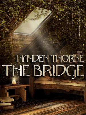 Book cover for The Bridge