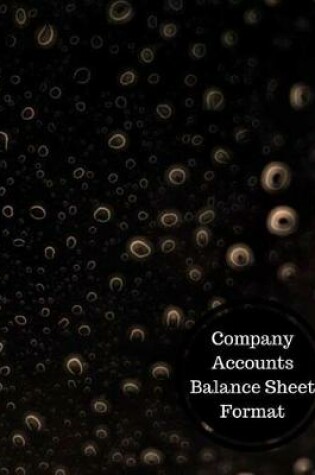 Cover of Company Accounts Balance Sheet Format