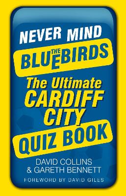 Book cover for Never Mind the Bluebirds