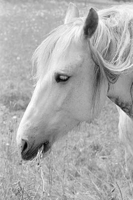 Book cover for Equine Journal Grazing Grey