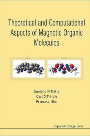 Cover of Theoretical And Computational Aspects Of Magnetic Organic Molecules