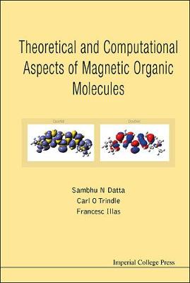 Book cover for Theoretical And Computational Aspects Of Magnetic Organic Molecules