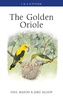 Book cover for The Golden Oriole