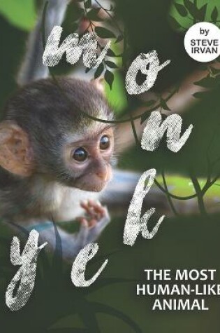 Cover of Monkey