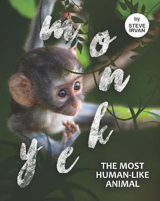 Book cover for Monkey