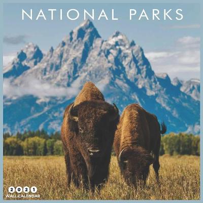 Book cover for National Parks 2021 wall calendar