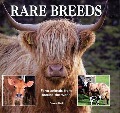 Book cover for Rare Breeds