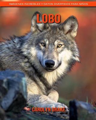 Book cover for Lobo