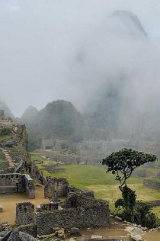 Cover of Ancient Mayan Ruins in the Fog