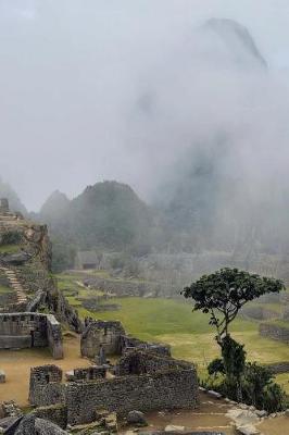 Book cover for Ancient Mayan Ruins in the Fog