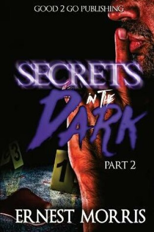 Cover of Secrets in the Dark 2