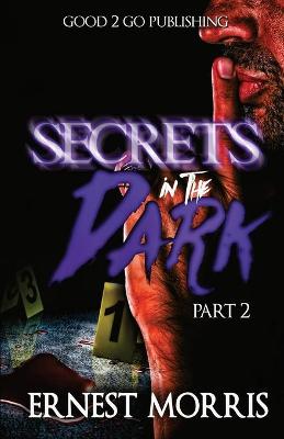 Book cover for Secrets in the Dark 2