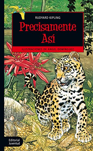 Book cover for Precisamente Asi