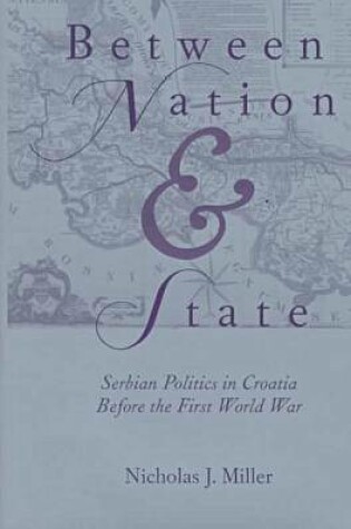 Cover of Between Nation & State