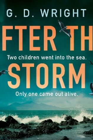 Cover of After the Storm