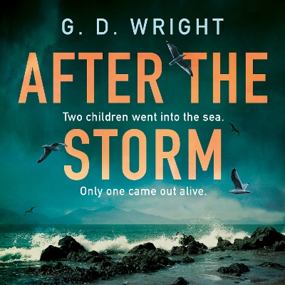 Book cover for After the Storm