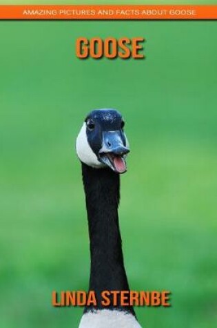 Cover of Goose