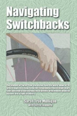 Cover of Navigating Switchbacks