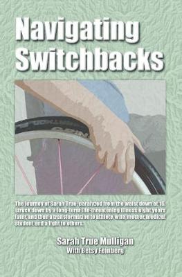 Book cover for Navigating Switchbacks