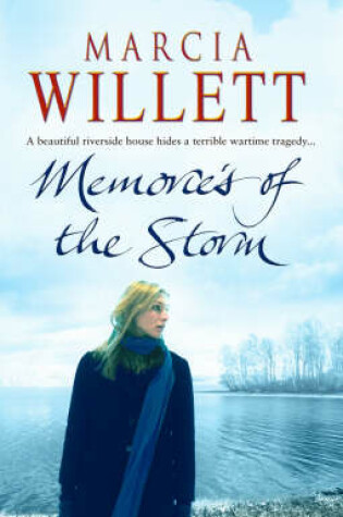 Cover of Memories Of The Storm